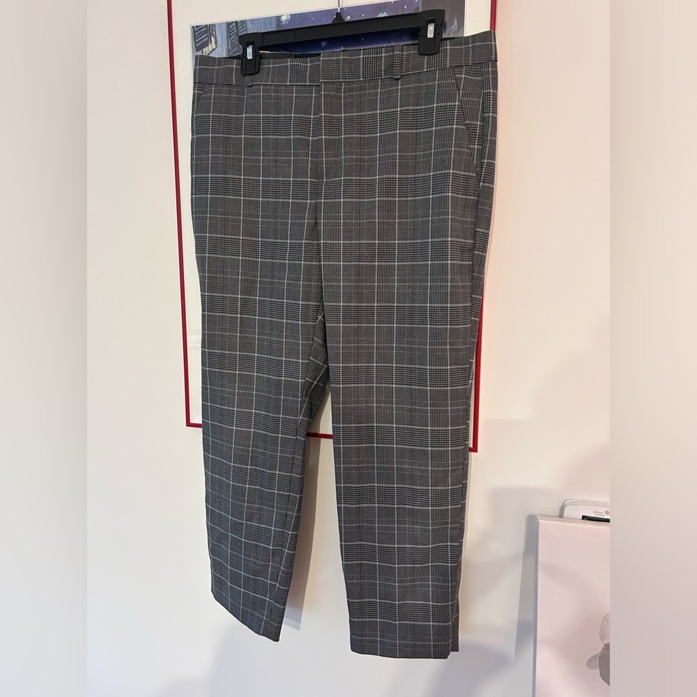 NWT Banana Republic Petite pants